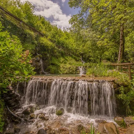 Dom wakacyjny Casa Nel Bosco